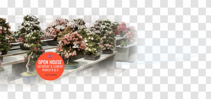 Indoor Bonsai Flowerpot Hoka-en Studio Tree Transparent PNG