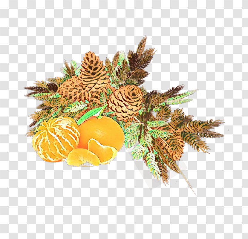 Pineapple - Plant - Food Pine Family Transparent PNG