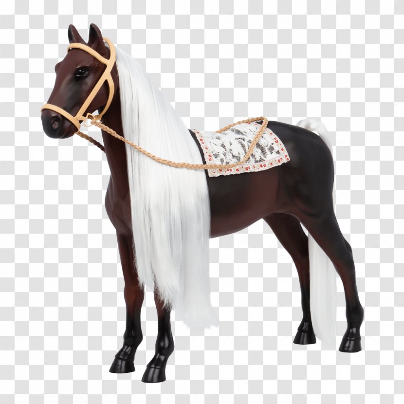 Andalusian Horse Lusitano American Paint Rocky Mountain Foal - Saddle - Equestrian Transparent PNG