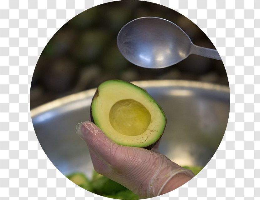 Avocado Guacamole Taco Salsa Burrito - Mexican Cuisine - Hass Transparent PNG