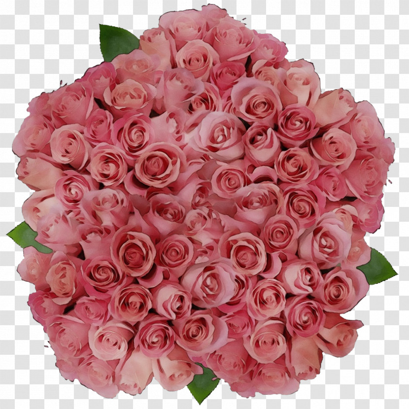 Garden Roses Transparent PNG