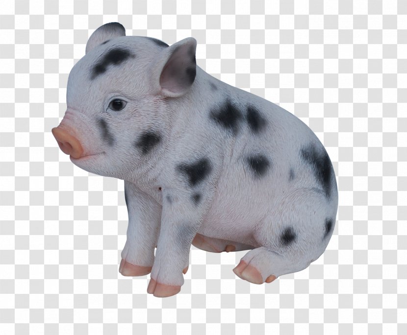 Domestic Pig Snout Figurine - Like Mammal Transparent PNG