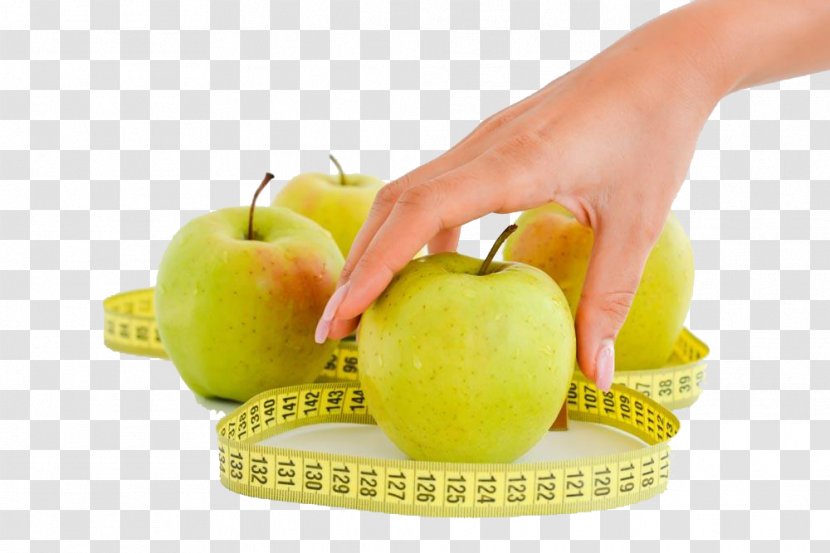 Ruler Photography - Natural Foods - Apple And Woman's Hand HD Buckle Material Transparent PNG
