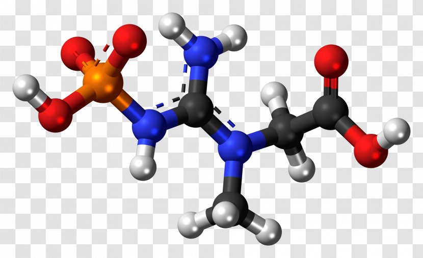 Phosphocreatine Molecule 1,3-Bisphosphoglyceric Acid Chemical Compound - Adenosine Triphosphate - Methyl Group Transparent PNG