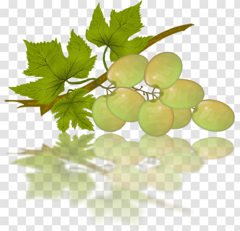 Sultana Grape Seedless Fruit - Plant Transparent PNG