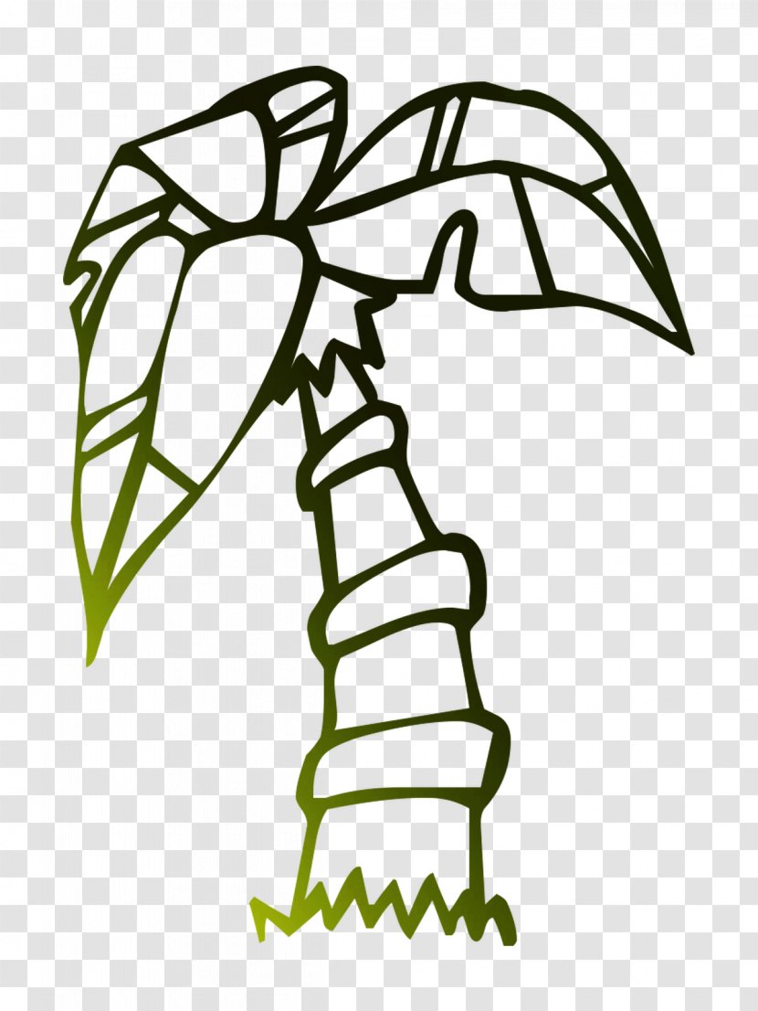 Palm Trees Sabal Vector Graphics Royalty-free - Cartoon - Plant Transparent PNG