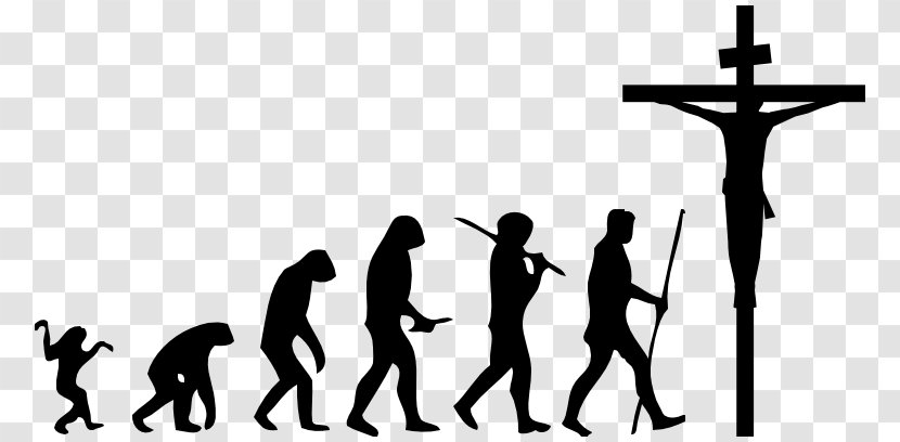 March Of Progress Ape Homo Sapiens Human Evolution - Science - Logo Transparent PNG