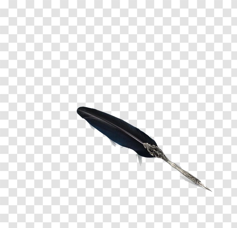 Feather Fountain Pen Quill - Inkwell Transparent PNG
