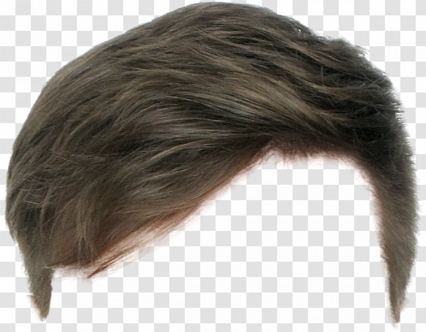 Hairstyle Wig Long Hair Beard - Forehead Transparent PNG