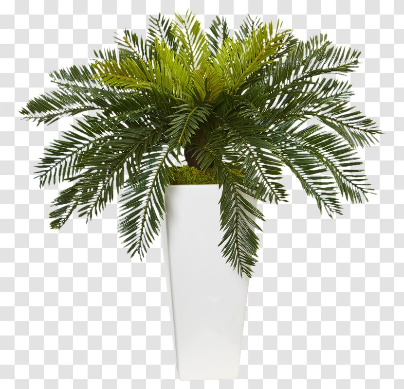 Flowerpot Houseplant Sago Palm Leaf - Tree - Plant Transparent PNG
