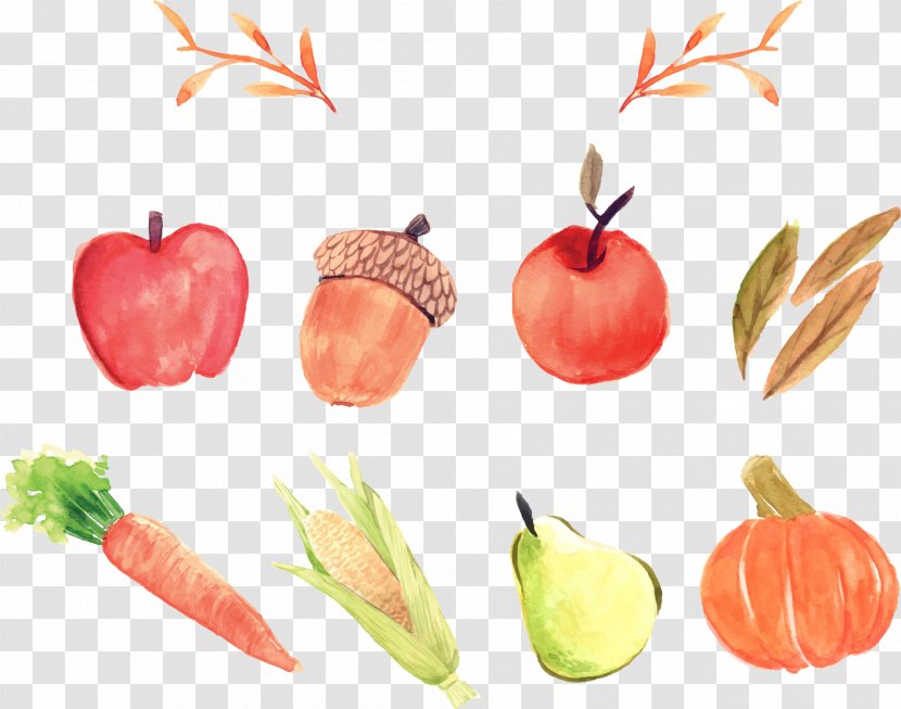 Euclidean Vector Apple Icon - Natural Foods - Cartoon Painted Vegetables Transparent PNG