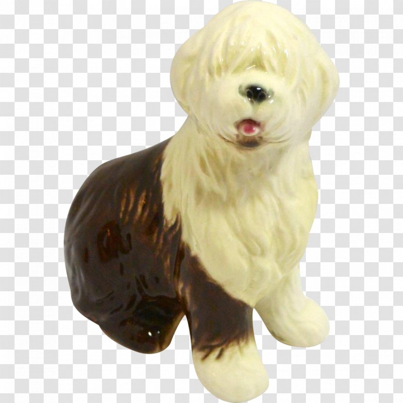 Maltese Dog Havanese Puppy Companion Breed Transparent PNG