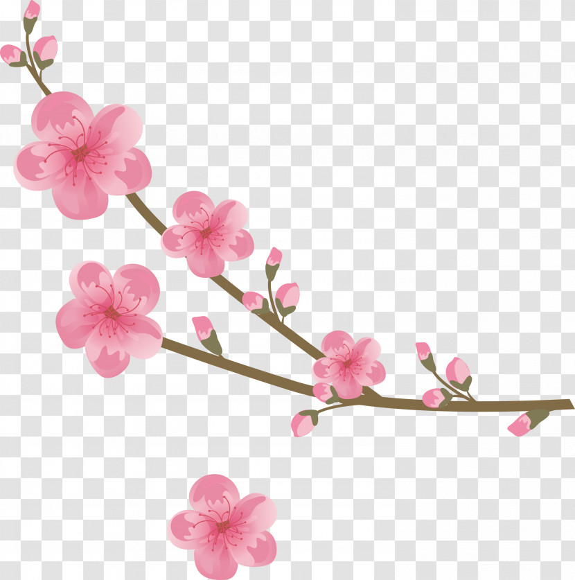 Flowers Floral Transparent PNG