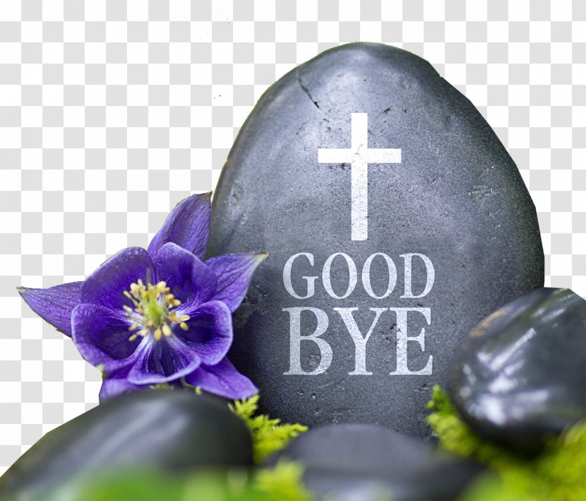 Life After Henry Van Cleve Afterlife Death Reincarnation - Sic - Stone Lettering, Goodbye Transparent PNG