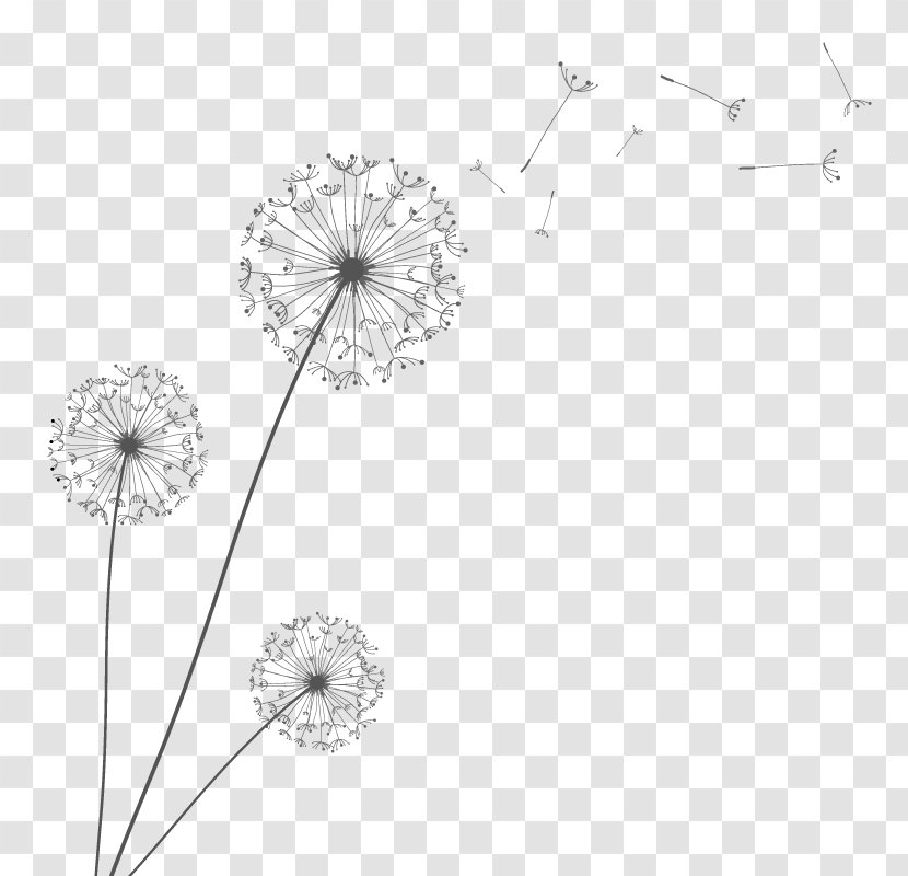 Euclidean Vector Dandelion - Area Transparent PNG