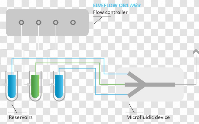 Brand Line Technology - Diagram Transparent PNG