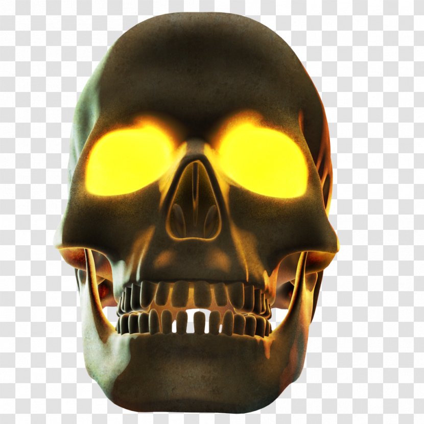 Skull - Hal Transparent PNG