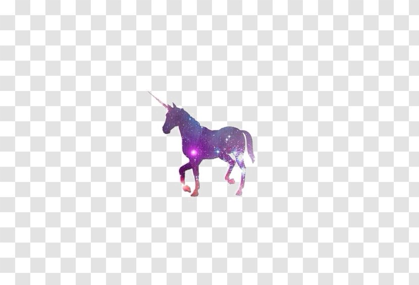 T-shirt Unicorn Keychain Gift - Tree Transparent PNG