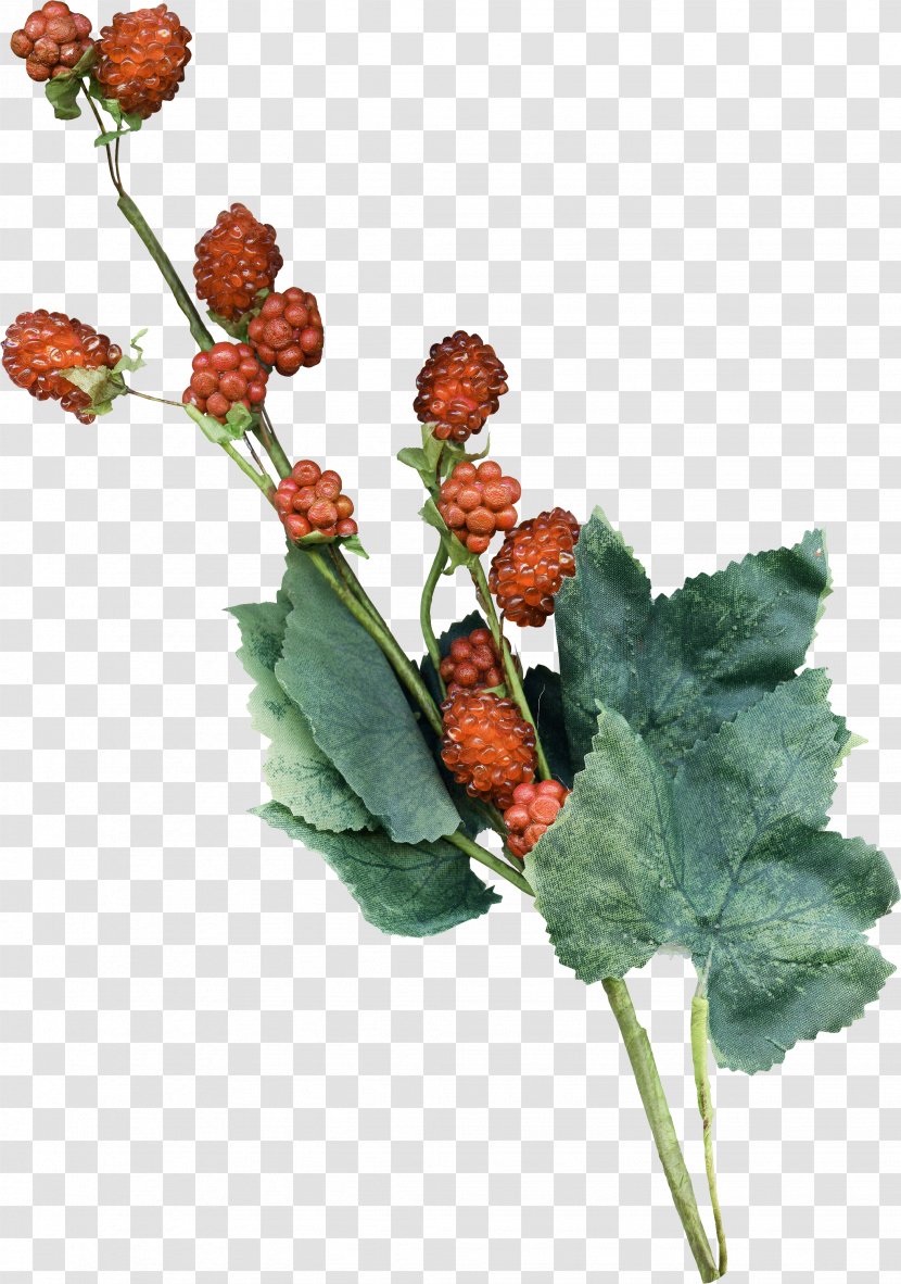 Artificial Flower Plant Stem Auglis - Red Transparent PNG