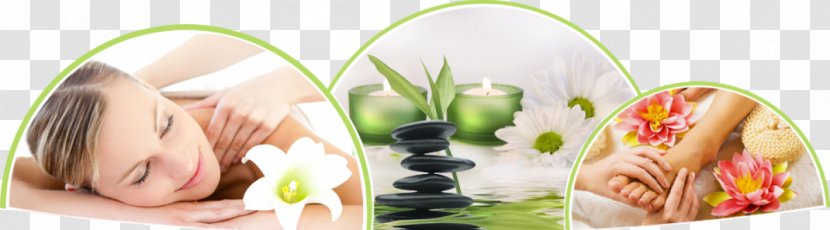Amrita Spa Beauty Parlour Massage Pedicure - Manicure Transparent PNG