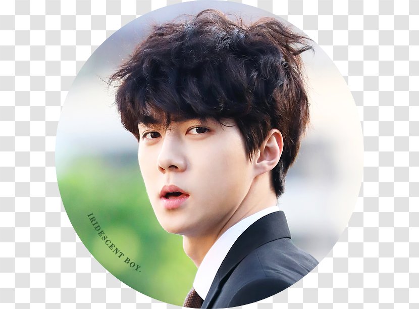 Sehun EXO-K SM Town K-pop - Eyebrow - Gst Transparent PNG