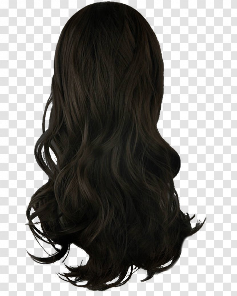 Black Hair Hairstyle Wig Transparent PNG