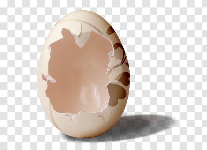 Easter Egg Chicken - Eggshell - Broken Shell Transparent PNG