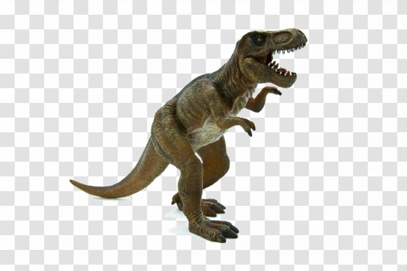Tyrannosaurus Stegosaurus Triceratops Dinosaur Brachiosaurus - Animal Planet - T Rex Transparent PNG