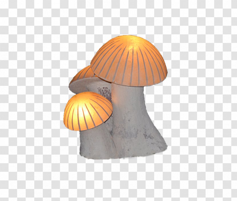 Mushroom Lighting - Led Illuminated Transparent PNG
