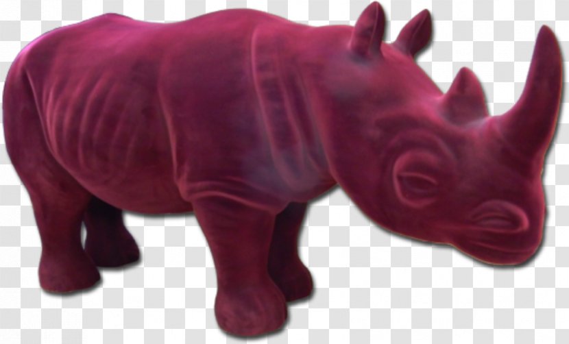 Rhinoceros Magenta Snout Terrestrial Animal - Jungle Decoration Transparent PNG
