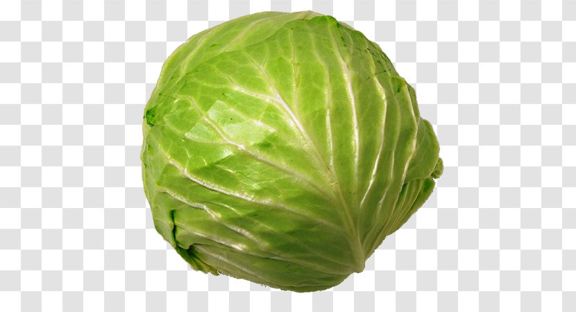 Vegetable Cauliflower Cabbage Food Juice Transparent PNG