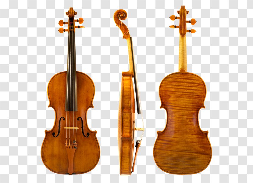 Stradivarius Violin Musical Instruments String - Tree Transparent PNG
