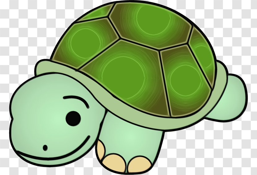 Sea Turtle Background - Tortoise - Box Pond Transparent PNG