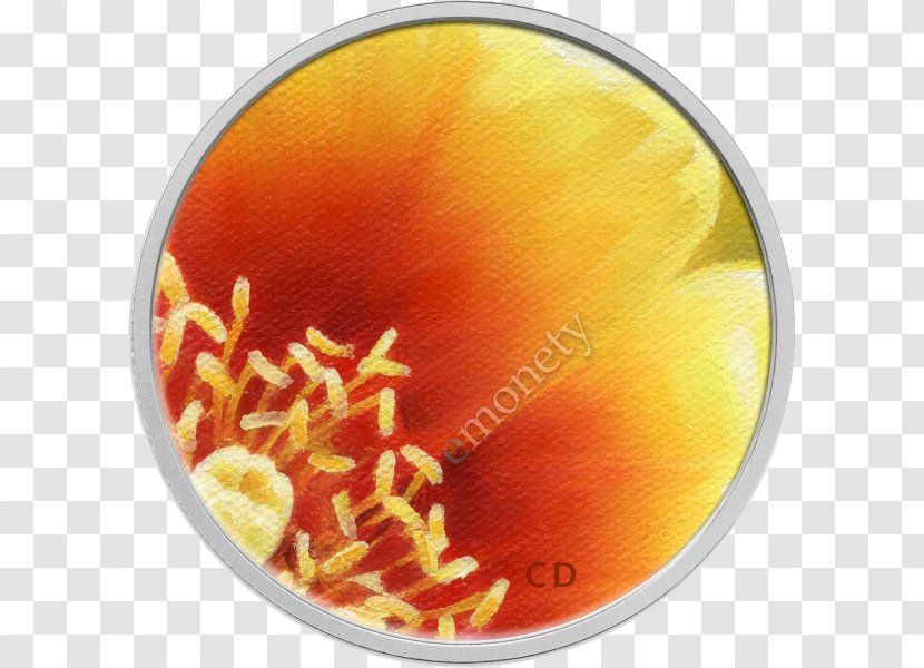 Eastern Prickly Pear Cactaceae Quarter Coin Cent Transparent PNG