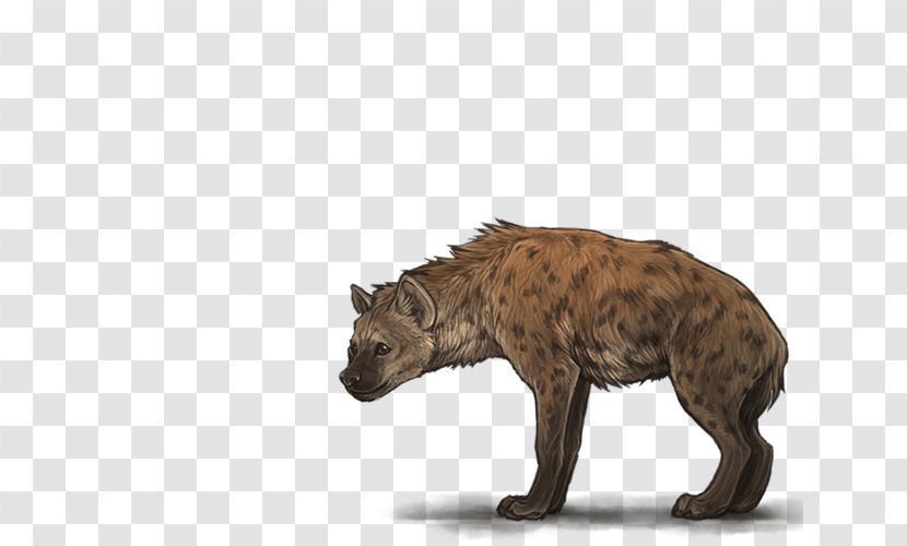 Lion Spotted Hyena - Puma Transparent PNG