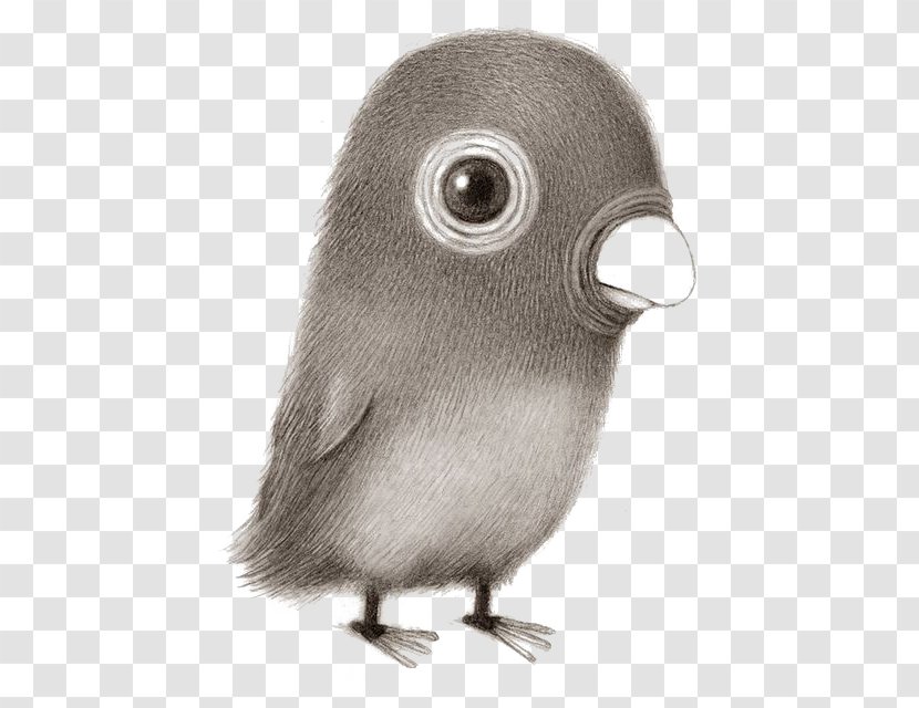 Drawing Cartoon Illustration - Parrot Transparent PNG