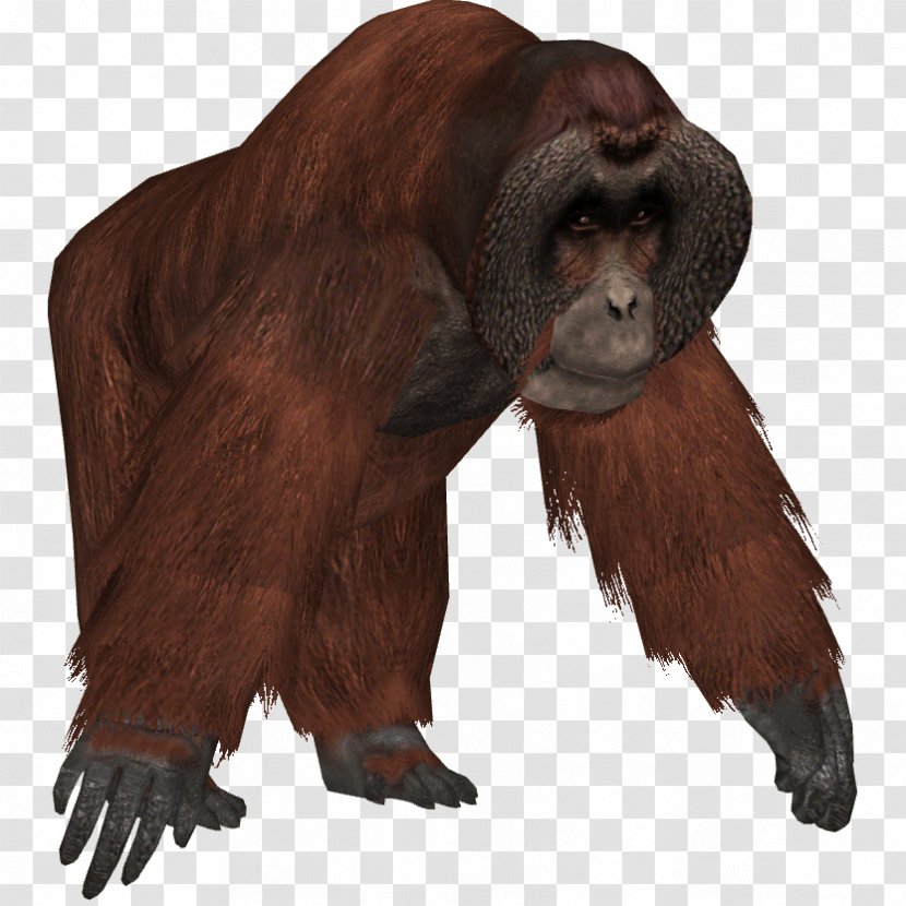 Zoo Tycoon 2 Common Chimpanzee Western Gorilla Bornean Orangutan - Primate Transparent PNG