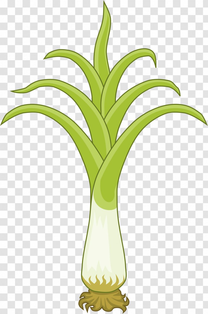 National Symbols Of Wales Leek Soup Welsh Dragon - Plant Stem - Daffodil Transparent PNG