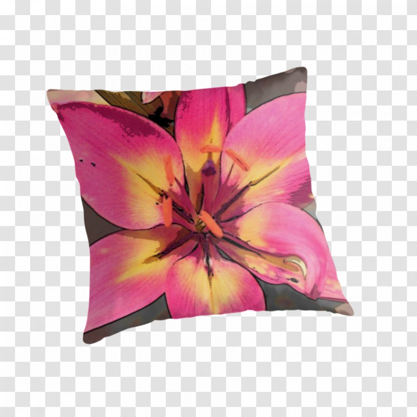 Throw Pillows Cushion Pink M RTV - Pillow Transparent PNG