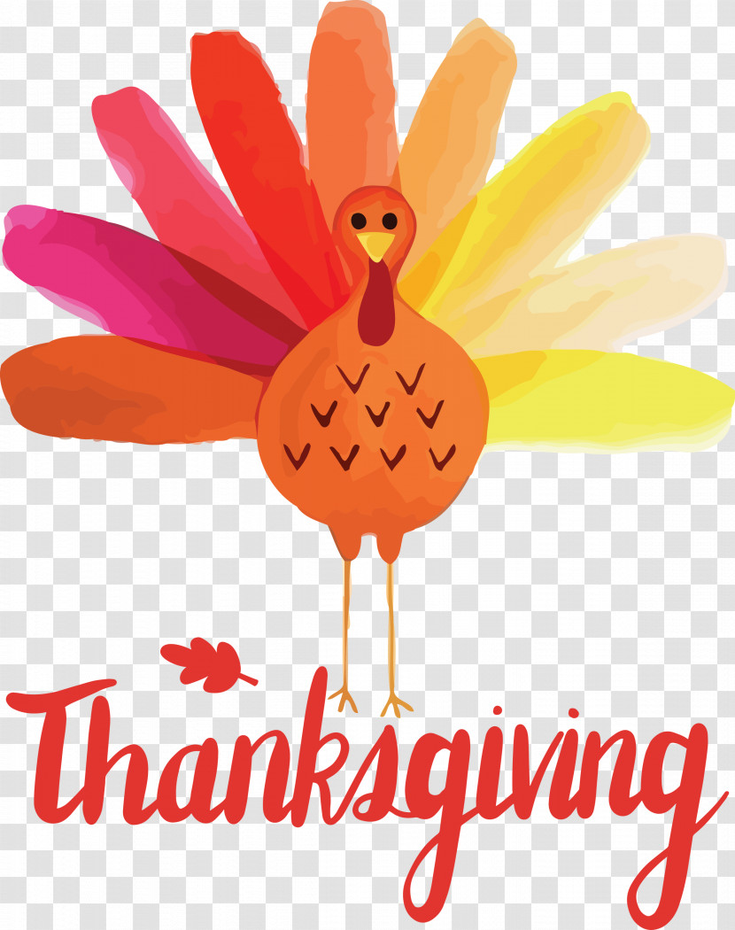 Thanksgiving Transparent PNG