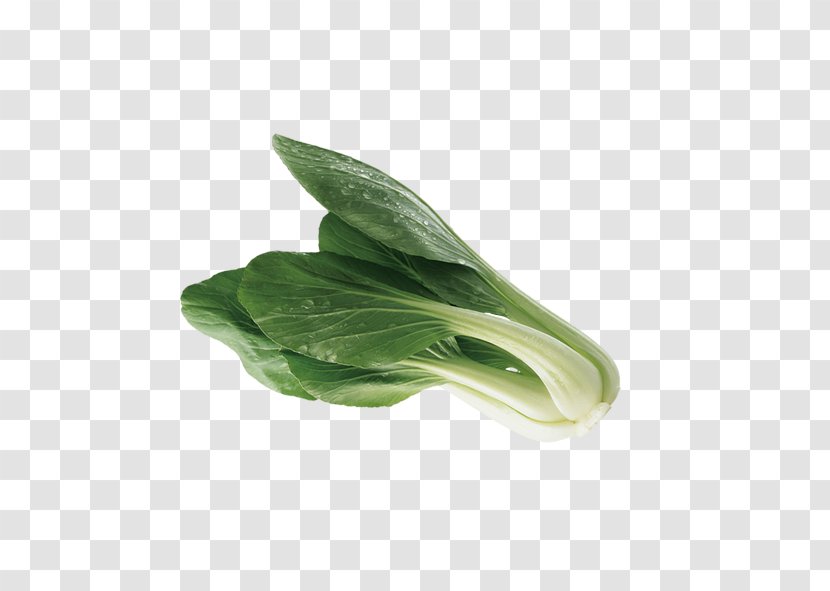 Leaf Vegetable Bok Choy Cabbage - Green Transparent PNG