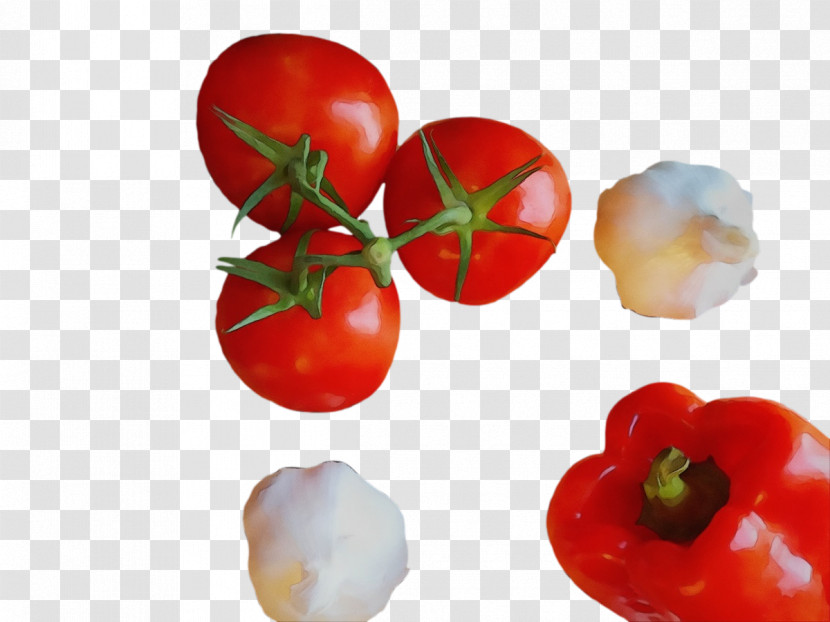 Tomato Transparent PNG