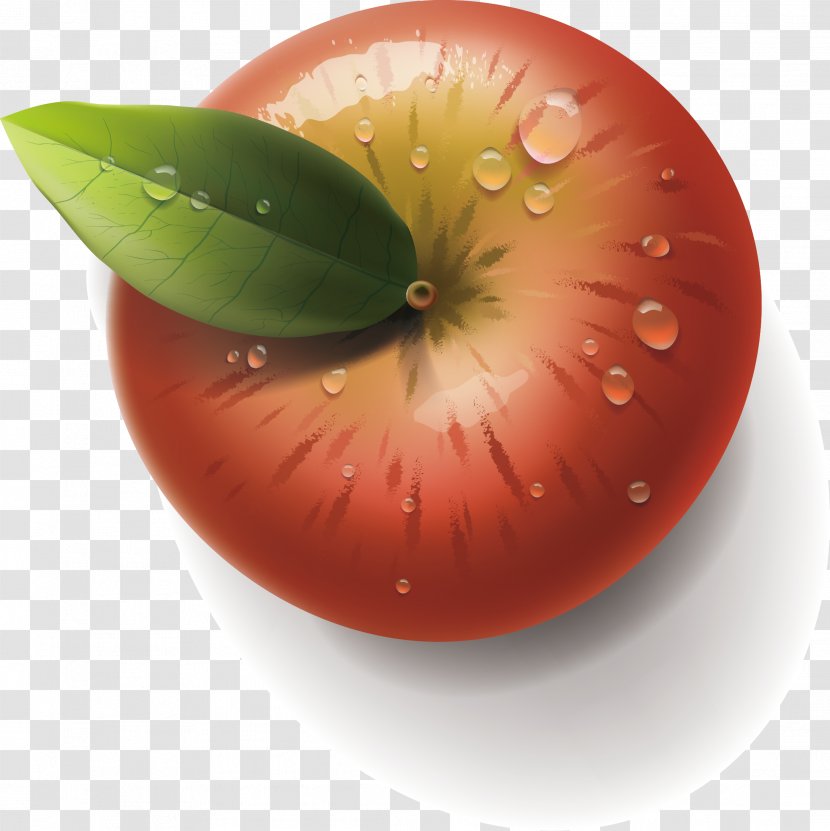 Adobe Illustrator - Green - Red Apple Leaf Element Transparent PNG