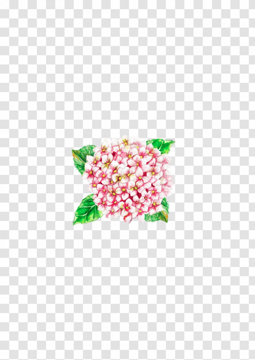 Flower Petal Pink Hydrangea Bird - Paint Transparent PNG