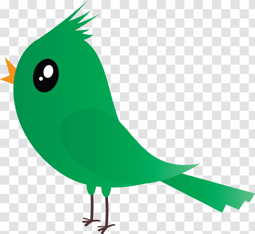 Bird Green Beak Parrot Perching Bird Transparent PNG