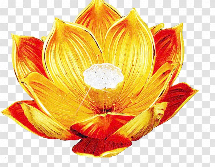 Vairocana Nelumbo Nucifera Dharmaku0101ya Falun Gong - Simulation Gold Lotus In Kind Promotion Transparent PNG
