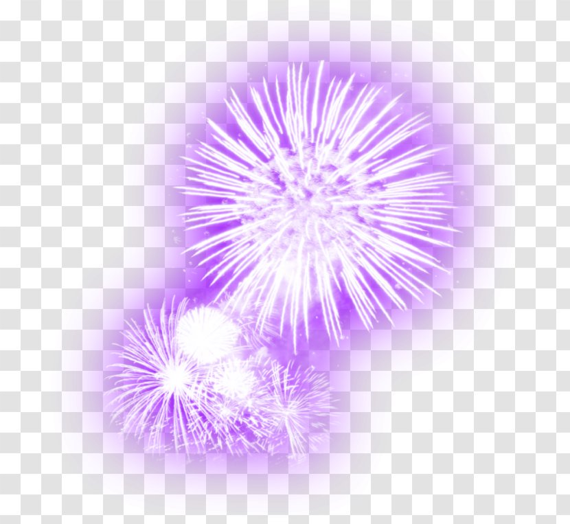 2018 British Firework Championships Plymouth Fireworks Transparent PNG