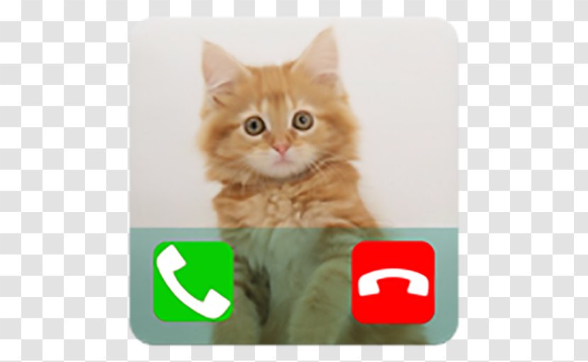 Fake Call Talking Cat Prank Telephone - Phone Calling Transparent PNG