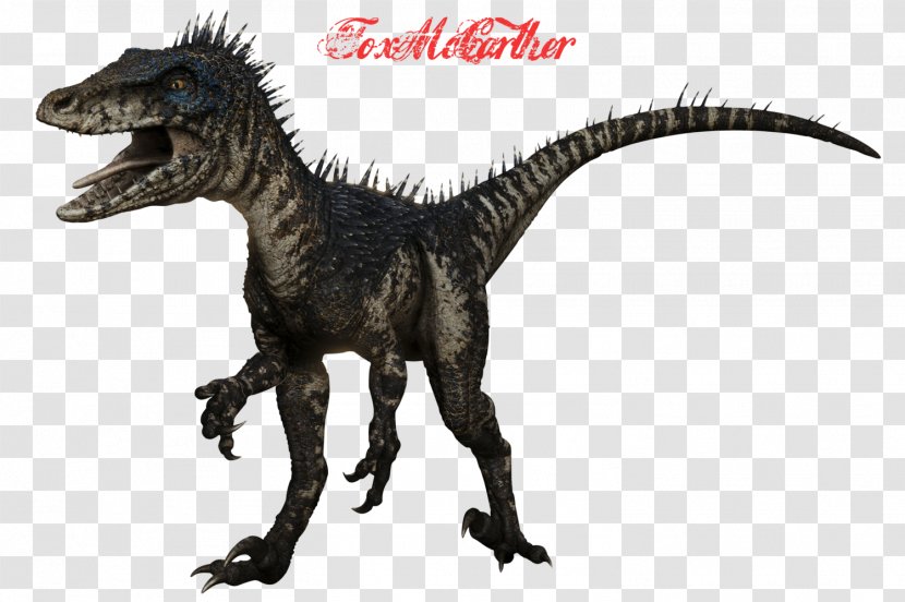 Deinonychus Velociraptor Spinosaurus Dinosaur Utahraptor - Extinction Transparent PNG