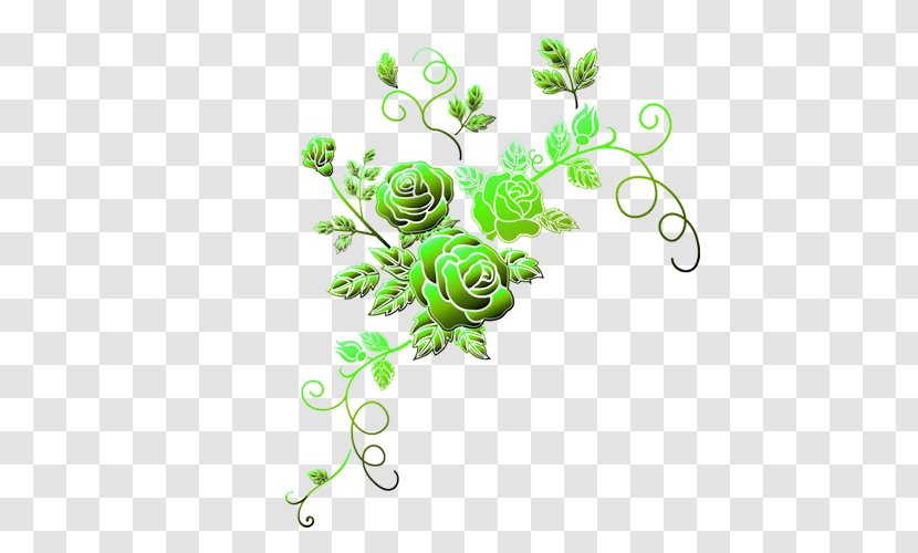 Download Clip Art - Leaf - Green Chrysanthemum Transparent PNG